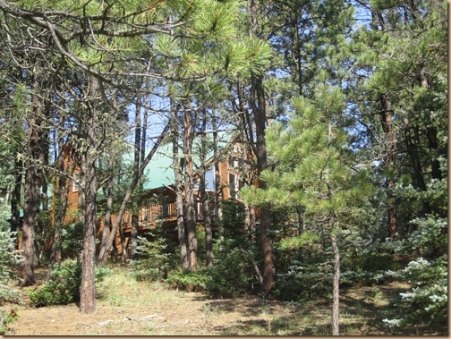 Angelfire, New Mexico: A Little Slice Of Heaven (And Rustic Decorating Ideas For That Mountain Cabin Look!)