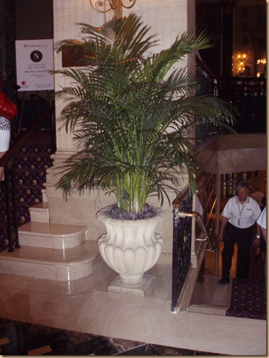 Greenery in Urn